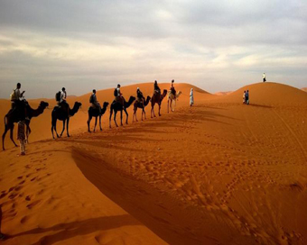 Humans to blame for creation of Sahara desert: Study